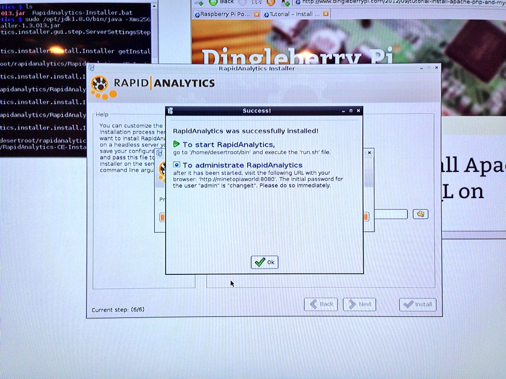 RapidAnalytics Install